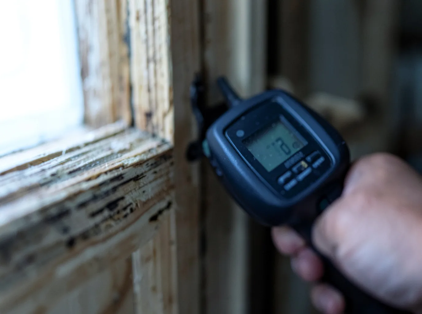 Commercial Water Damage Restoration in Cottage Grove, OR